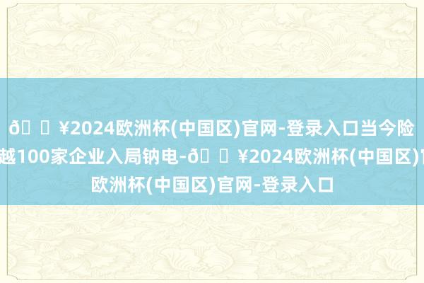 🔥2024欧洲杯(中国区)官网-登录入口当今险阻游如故有逾越100家企业入局钠电-🔥2024欧洲杯(中国区)官网-登录入口