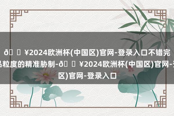 🔥2024欧洲杯(中国区)官网-登录入口不错完结对居品粒度的精准胁制-🔥2024欧洲杯(中国区)官网-登录入口