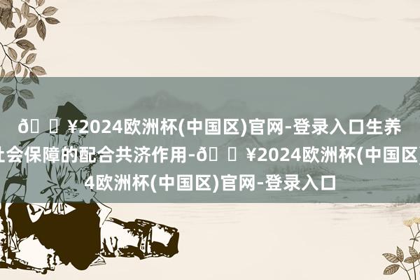 🔥2024欧洲杯(中国区)官网-登录入口生养保障通过进展社会保障的配合共济作用-🔥2024欧洲杯(中国区)官网-登录入口