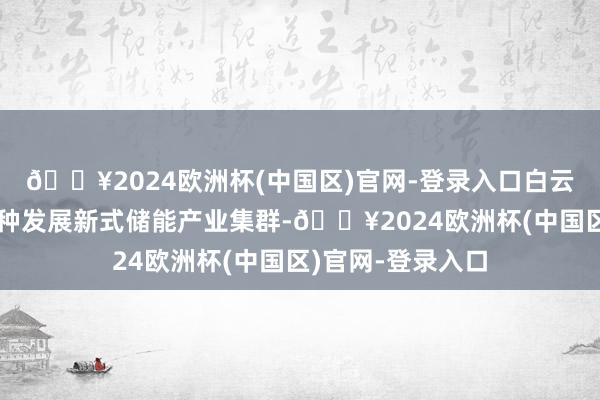 🔥2024欧洲杯(中国区)官网-登录入口白云区正全面加速栽种发展新式储能产业集群-🔥2024欧洲杯(中国区)官网-登录入口