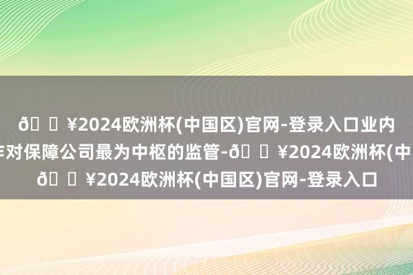 🔥2024欧洲杯(中国区)官网-登录入口业内将偿付智力监管视作对保障公司最为中枢的监管-🔥2024欧洲杯(中国区)官网-登录入口