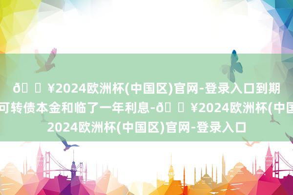 🔥2024欧洲杯(中国区)官网-登录入口到期归赵统共未转股的可转债本金和临了一年利息-🔥2024欧洲杯(中国区)官网-登录入口