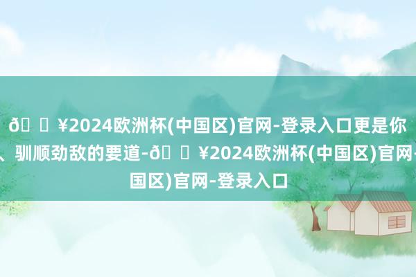 🔥2024欧洲杯(中国区)官网-登录入口更是你探索未知、驯顺劲敌的要道-🔥2024欧洲杯(中国区)官网-登录入口